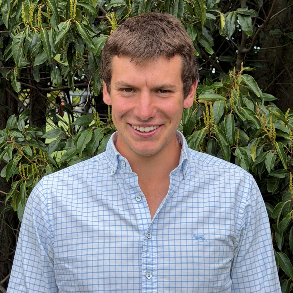 harry-hegan-livestock-exchange-new-zealand